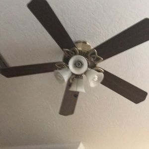 Meet your Posher, Rose